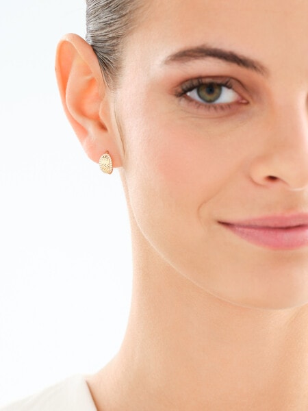 Zlaté náušnice se zirkony - kroužky