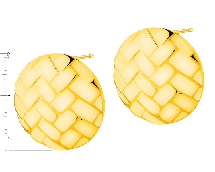 Stainless Steel Earrings 