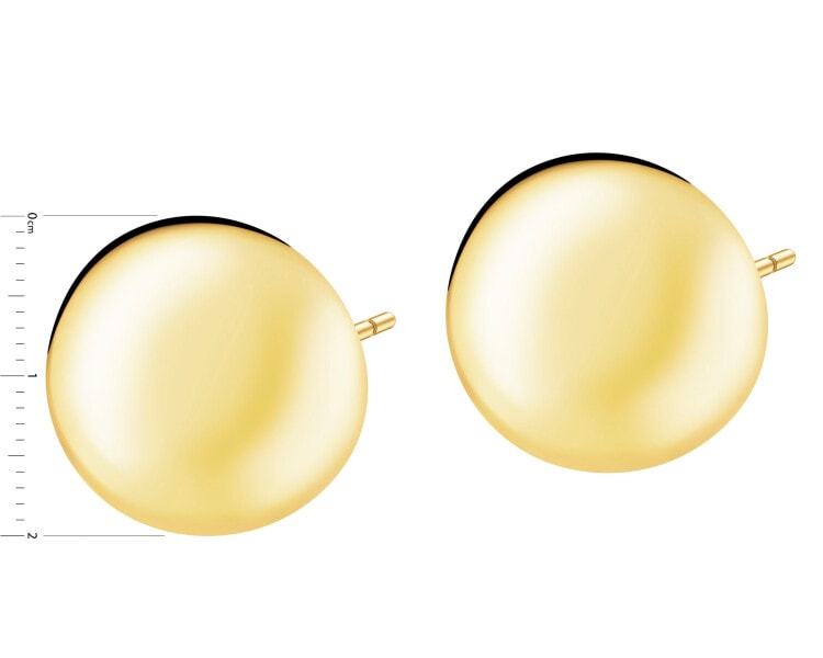 Stainless Steel Earrings 