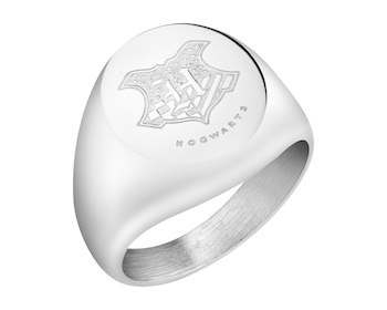 Sygnet ze stali szlachetnej, Harry Potter, Warner Bros. Discovery