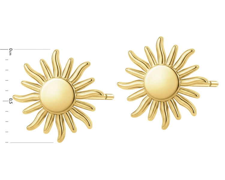 Gold-Plated Silver Earrings 