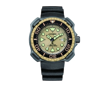 Citizen Promaster Diver Eco-Drive