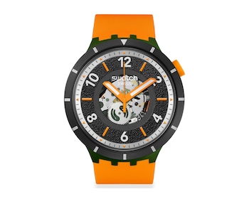 Swatch Fall-Iage