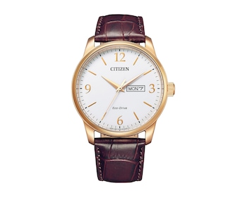 Citizen Leather