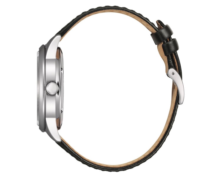 Citizen Mechanical Day Date