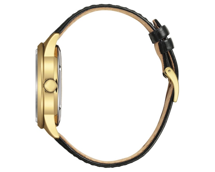 Citizen Mechanical Day Date