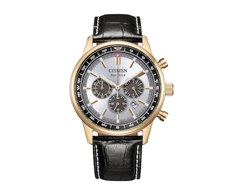Citizen Eco-Drive Pilot Chrono
