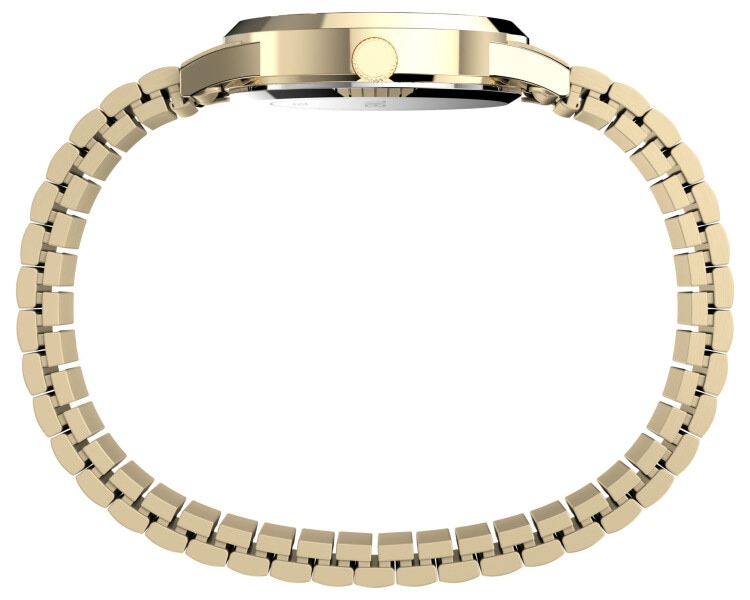 Timex Main Street