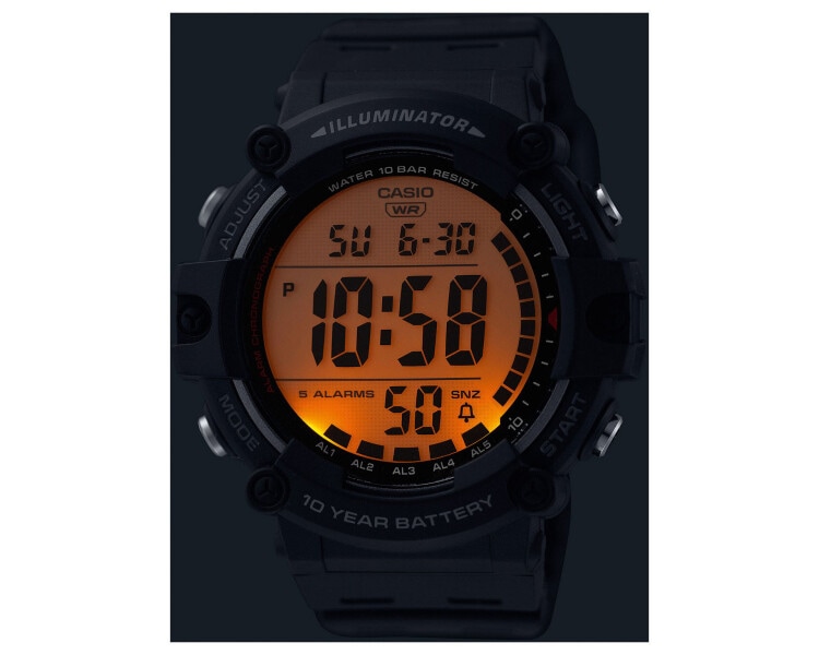 Casio Timeless