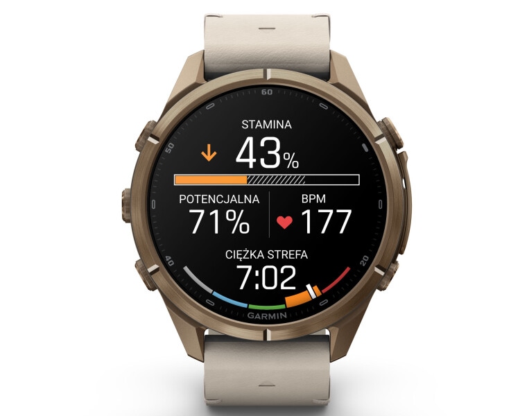 Garmin Fenix 9 Pro 43